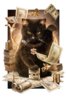 fortune_cash_cats_by_maximegirault-d9kvwe7Kotton.jpg