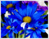 flowers_by_tsaraleksi.jpg