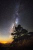 Seve____t_r_a_n_s_c_e_n_d_e_n_t______by_laanscapes-d9sfv87.jpg