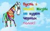 prikolnoe-pozdravlenie-s-dnem-rojdeniya-zebra.jpg