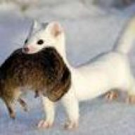 tsarapka