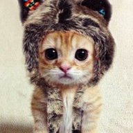 Валерия