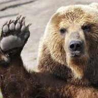 Bear Svjatoborovish